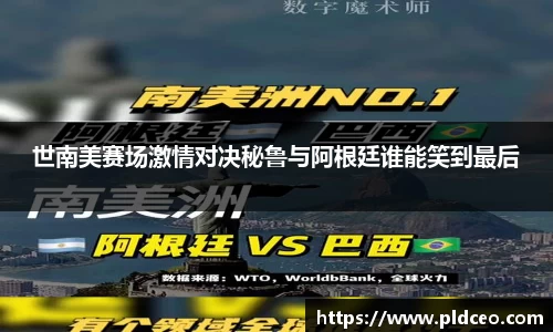 世南美赛场激情对决秘鲁与阿根廷谁能笑到最后